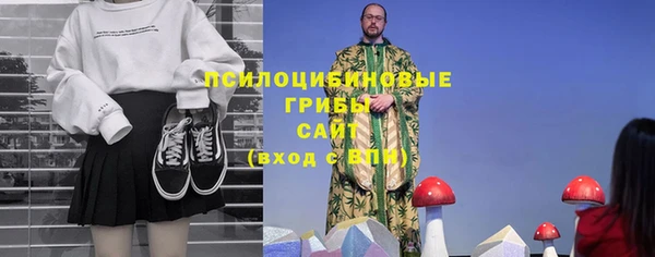 прущие грибы Снежногорск
